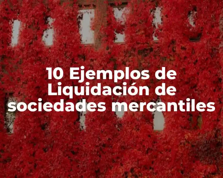 10 Ejemplos de Liquidación de sociedades mercantiles