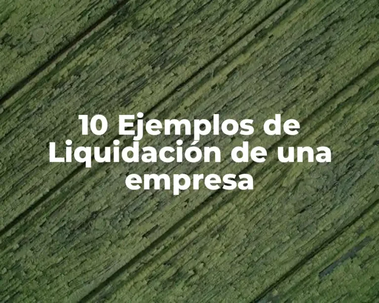 10 Ejemplos de Liquidación de una empresa