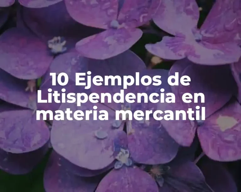 10 Ejemplos de Litispendencia en materia mercantil