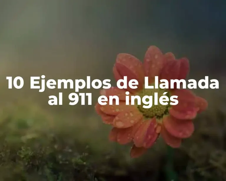 10 Ejemplos de Llamada al 911 en inglés