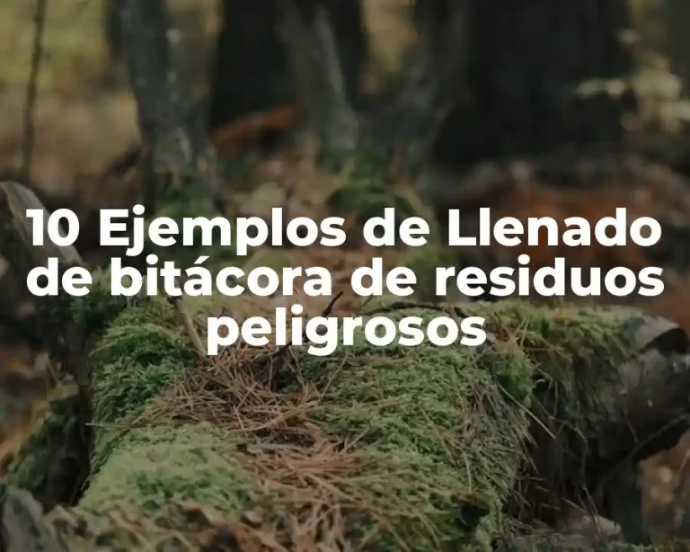 10 Ejemplos de Llenado de bitácora de residuos peligrosos
