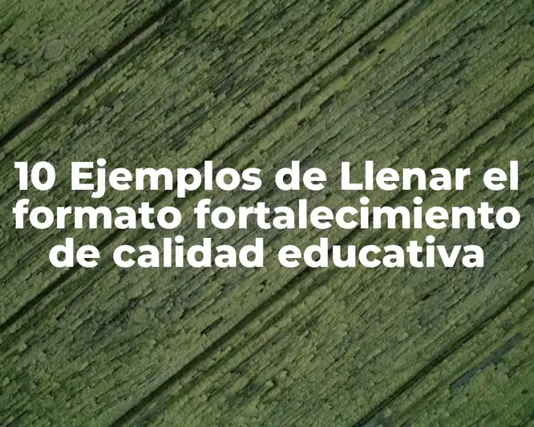 10 Ejemplos de Llenar el formato fortalecimiento de calidad educativa