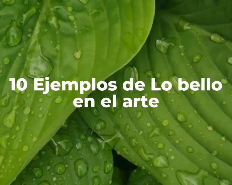 10 Ejemplos de Lo bello en el arte