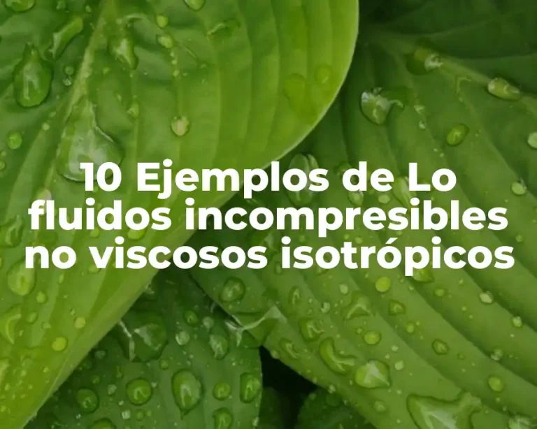 10 Ejemplos de Lo fluidos incompresibles no viscosos isotrópicos