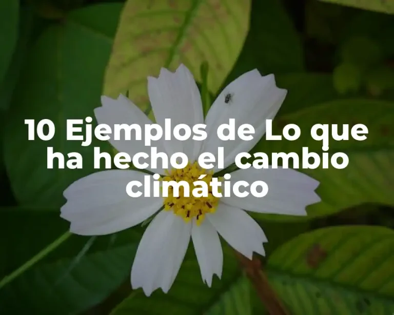 10 Ejemplos de Lo que ha hecho el cambio climático