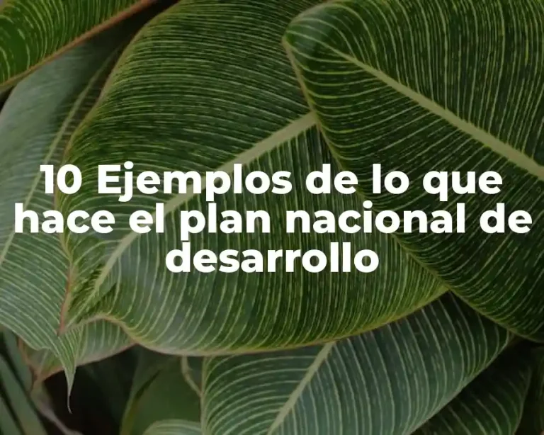 10 Ejemplos de lo que hace el plan nacional de desarrollo