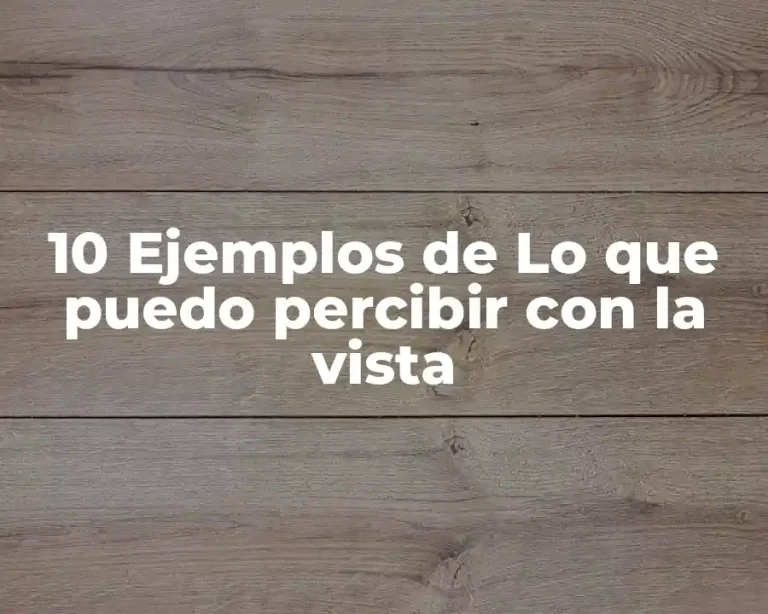 10 Ejemplos de Lo que puedo percibir con la vista