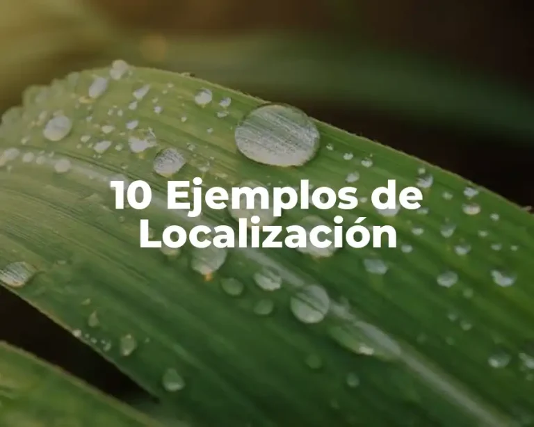 10 Ejemplos de Localización