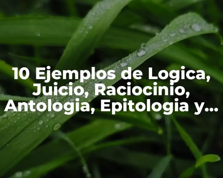 10 Ejemplos de Logica, Juicio, Raciocinio, Antologia, Epitologia y Ontologia