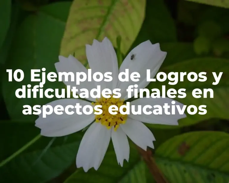 10 Ejemplos de Logros y dificultades finales en aspectos educativos