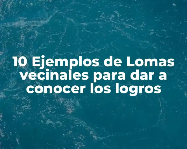 10 Ejemplos de Lomas vecinales para dar a conocer los logros