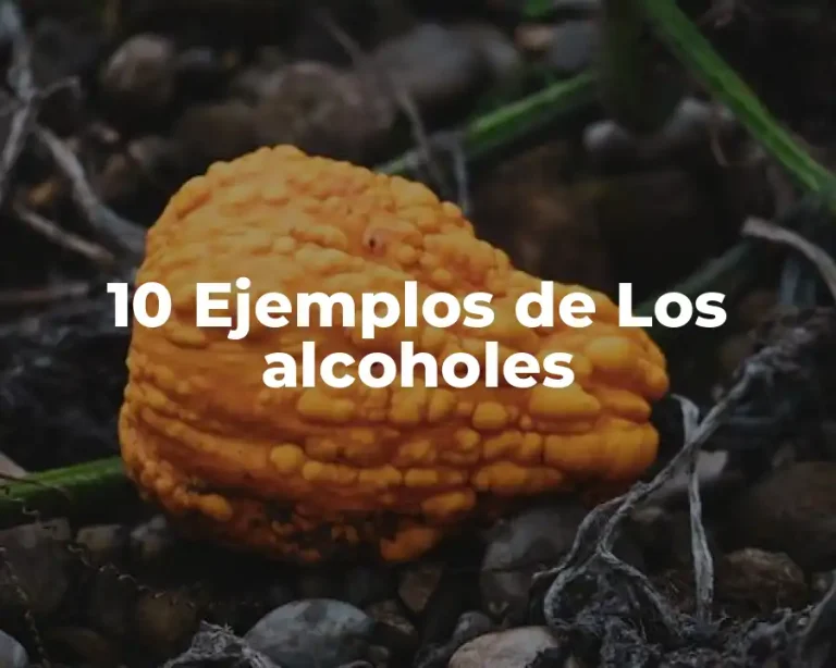 10 Ejemplos de Los alcoholes