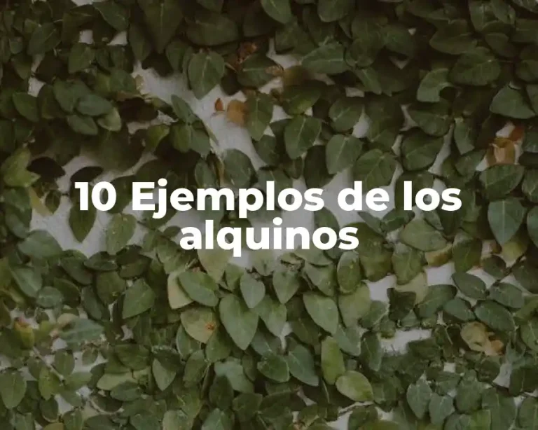 10 Ejemplos de los alquinos