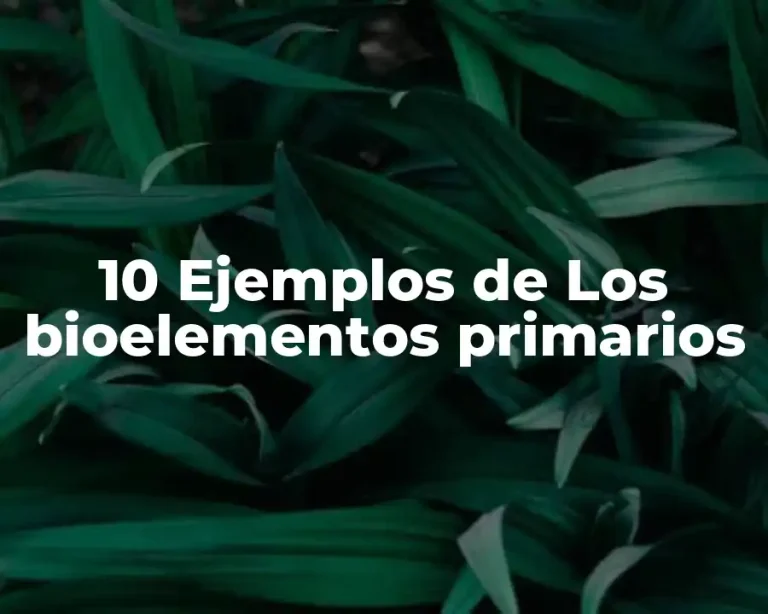 10 Ejemplos de Los bioelementos primarios