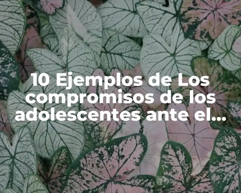 10 Ejemplos de Los compromisos de los adolescentes ante el futuro