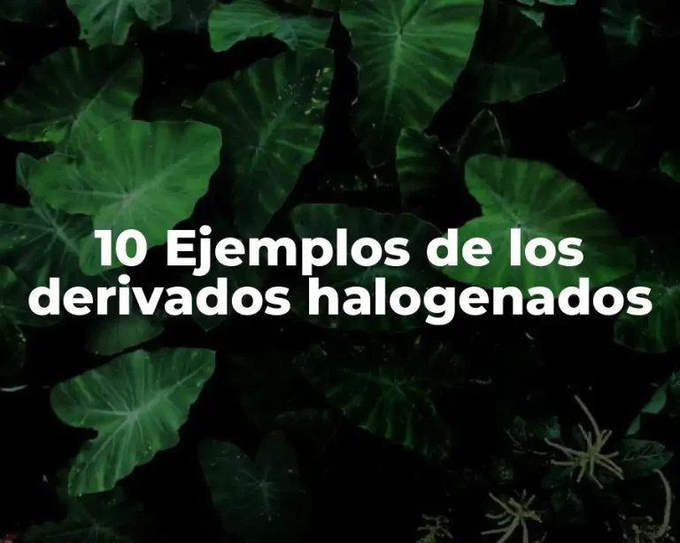 10 Ejemplos de los derivados halogenados