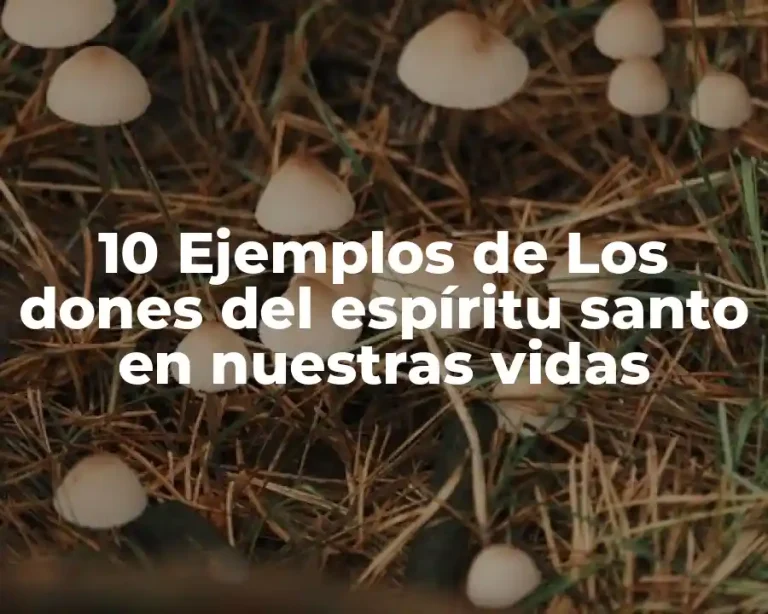 10 Ejemplos de Los dones del espíritu santo en nuestras vidas
