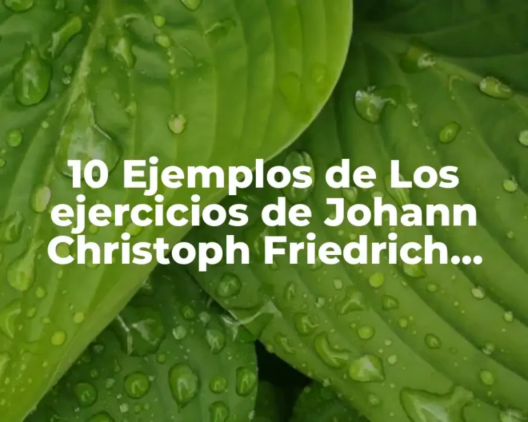 10 Ejemplos de Los ejercicios de Johann Christoph Friedrich Guts Muths