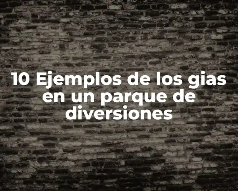 10 Ejemplos de los gias en un parque de diversiones