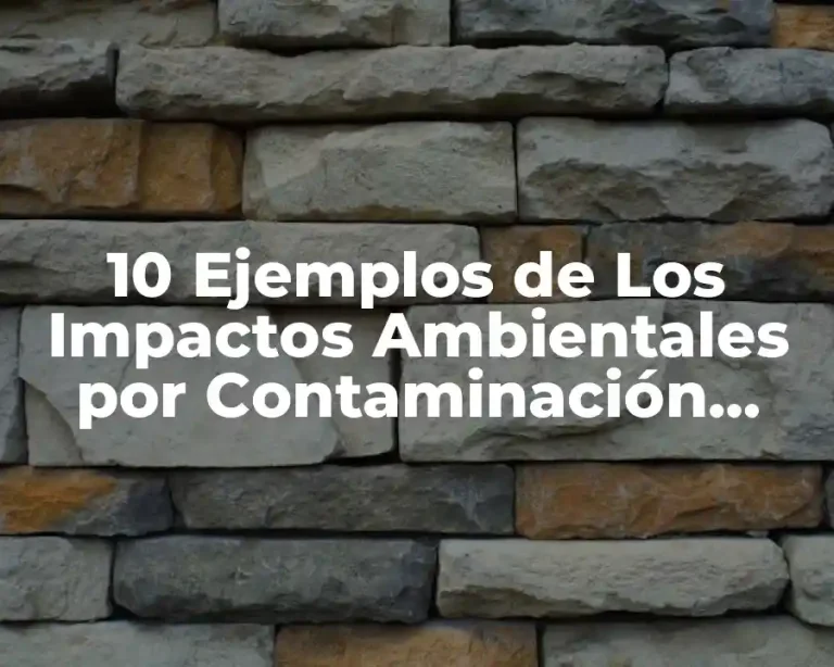 10 Ejemplos de Los Impactos Ambientales por Contaminación Ondas Acústicas UNAM