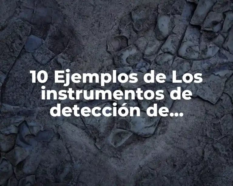 10 Ejemplos de Los instrumentos de detección de necesidades de capacitación