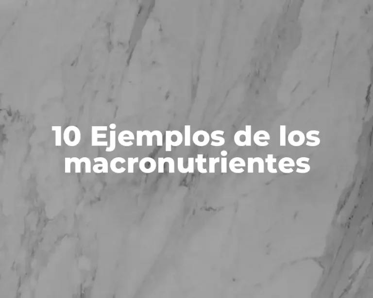 10 Ejemplos de los macronutrientes