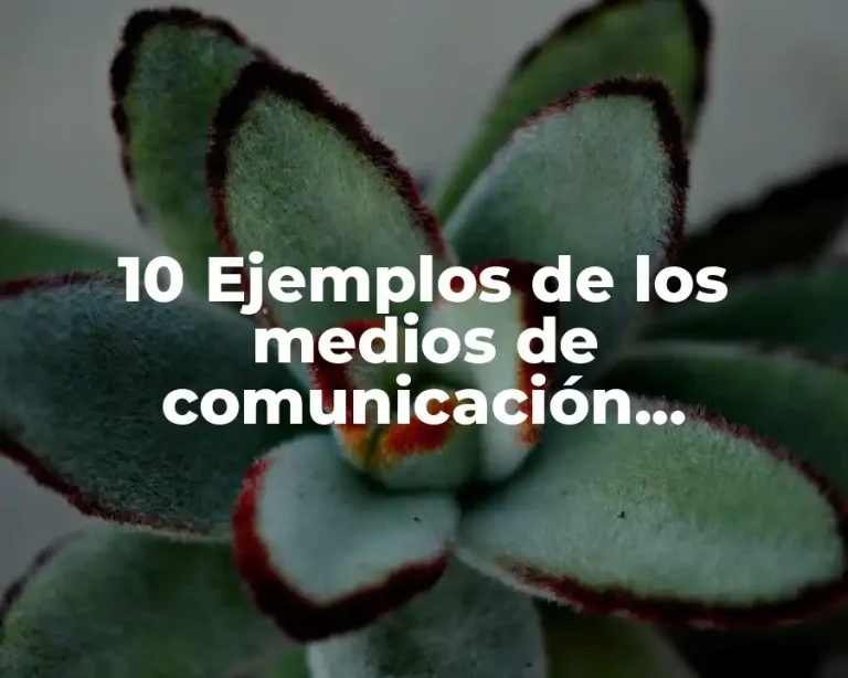 10 Ejemplos de los medios de comunicación tradicionales y redes sociales