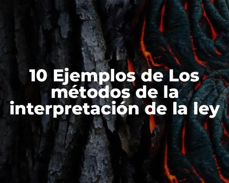 10 Ejemplos de Los métodos de la interpretación de la ley