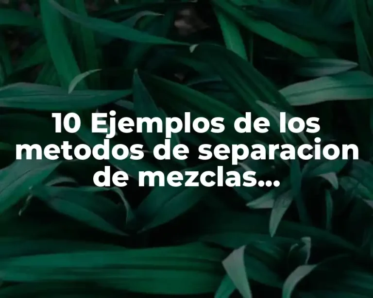 10 Ejemplos de los metodos de separacion de mezclas homogéneas