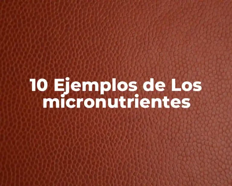 10 Ejemplos de Los micronutrientes
