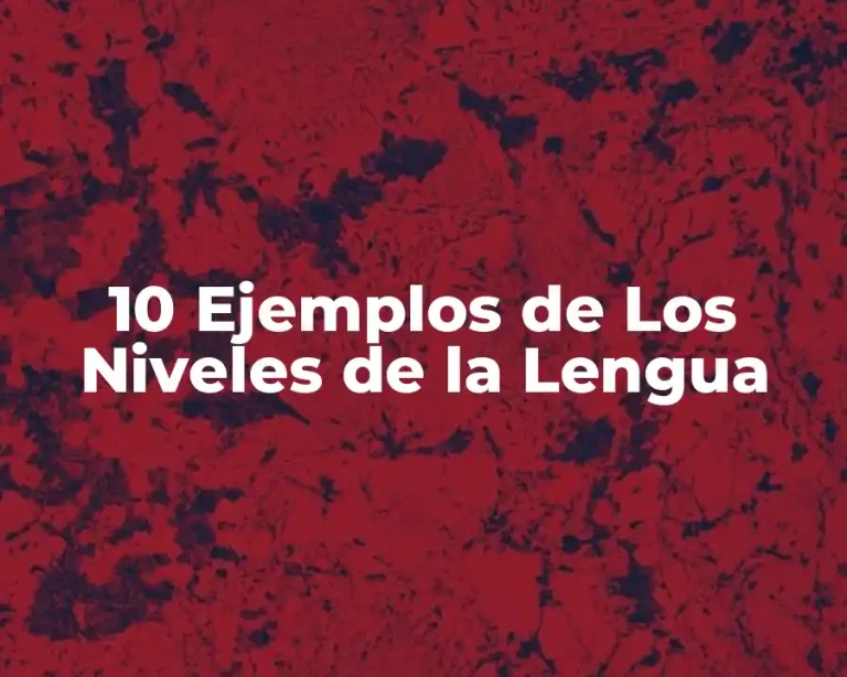 10 Ejemplos de Los Niveles de la Lengua