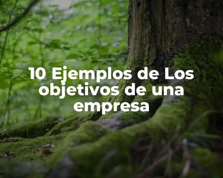 10 Ejemplos de Los objetivos de una empresa