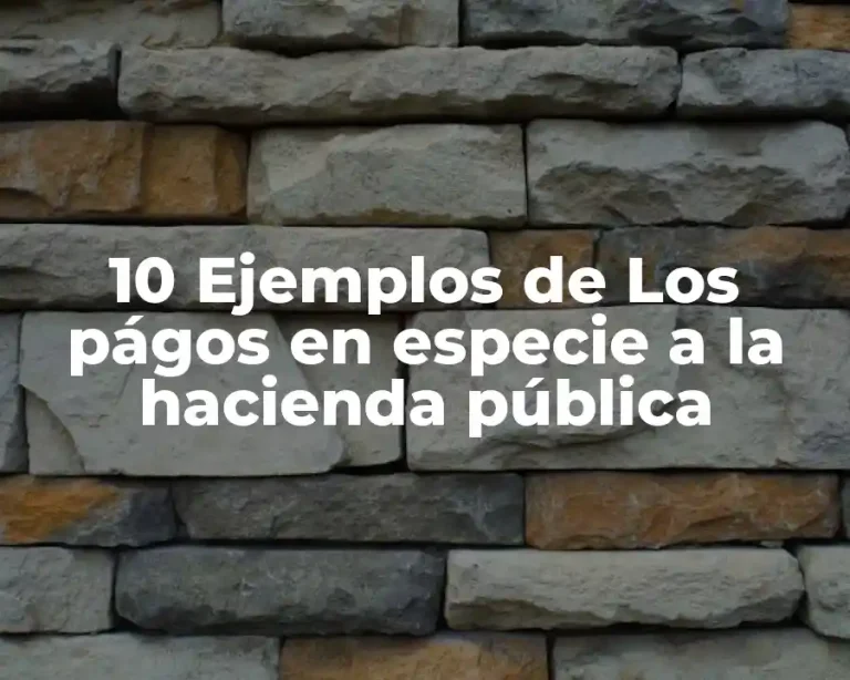 10 Ejemplos de Los págos en especie a la hacienda pública