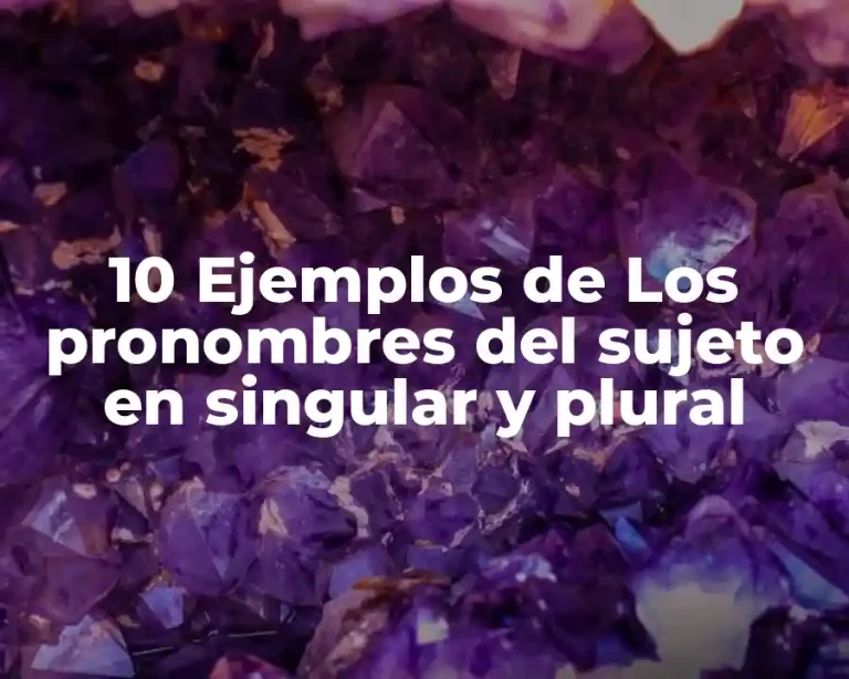 10 Ejemplos de Los pronombres del sujeto en singular y plural