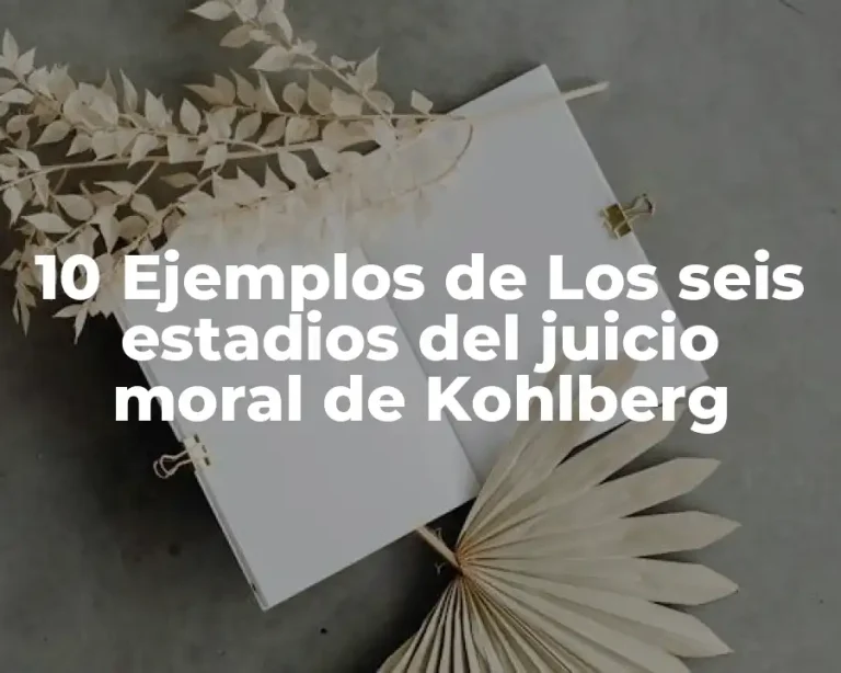 10 Ejemplos de Los seis estadios del juicio moral de Kohlberg