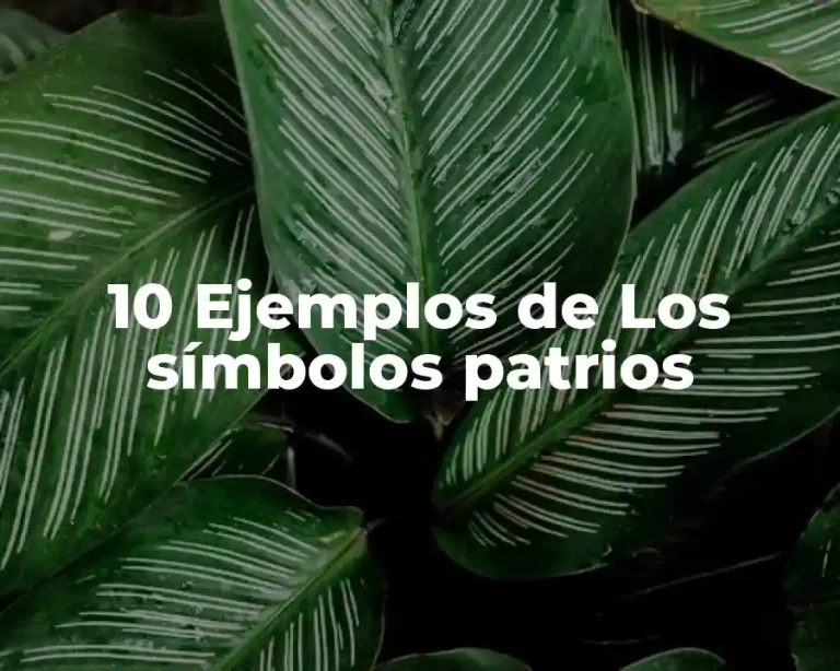 10 Ejemplos de Los símbolos patrios