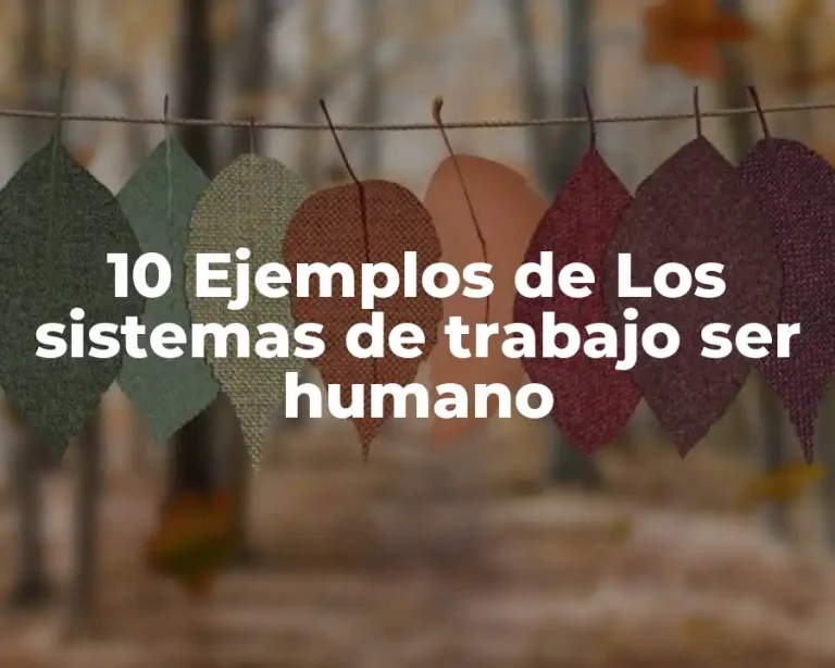 10 Ejemplos de Los sistemas de trabajo ser humano