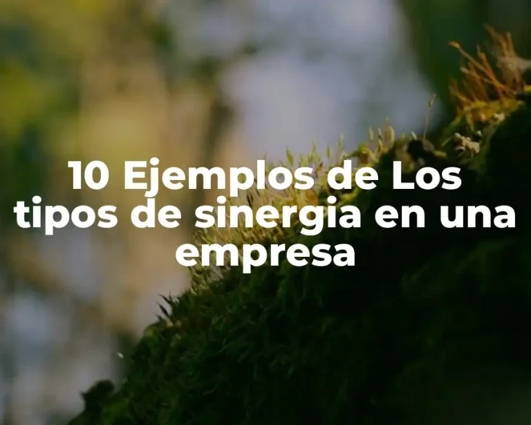 10 Ejemplos de Los tipos de sinergia en una empresa