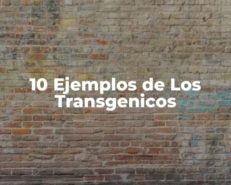 10 Ejemplos de Los Transgenicos