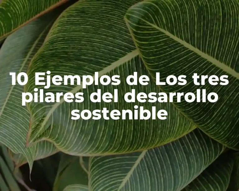 10 Ejemplos de Los tres pilares del desarrollo sostenible