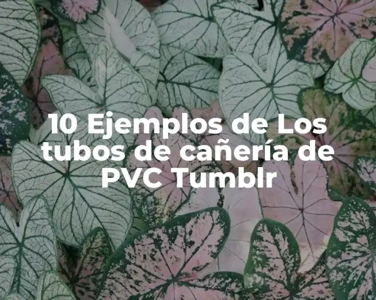 10 Ejemplos de Los tubos de cañería de PVC Tumblr