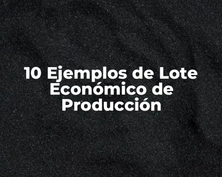 10 Ejemplos de Lote Económico de Producción
