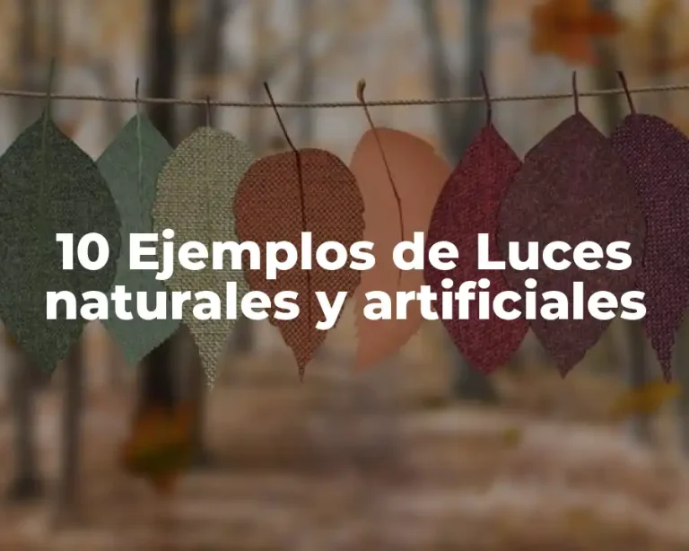 10 Ejemplos de Luces naturales y artificiales