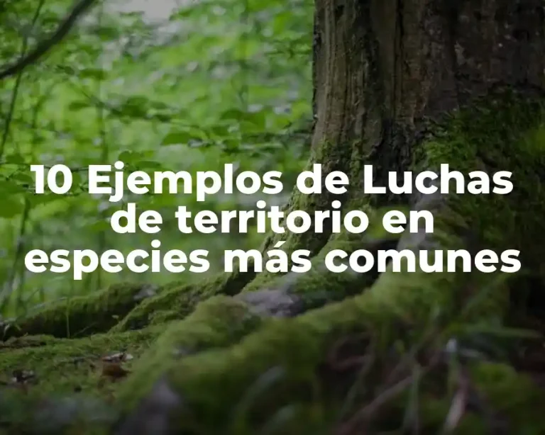 10 Ejemplos de Luchas de territorio en especies más comunes