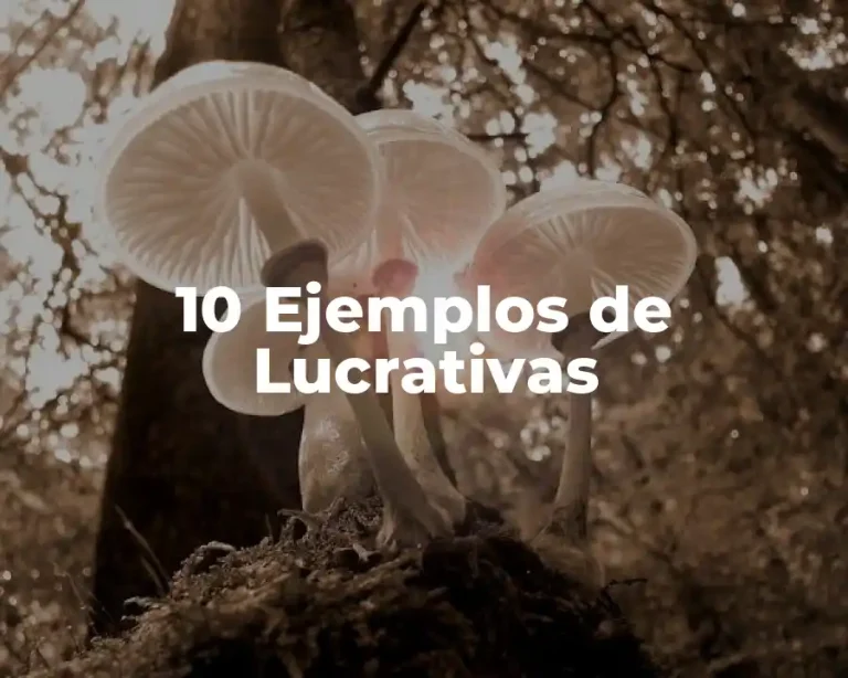 10 Ejemplos de Lucrativas