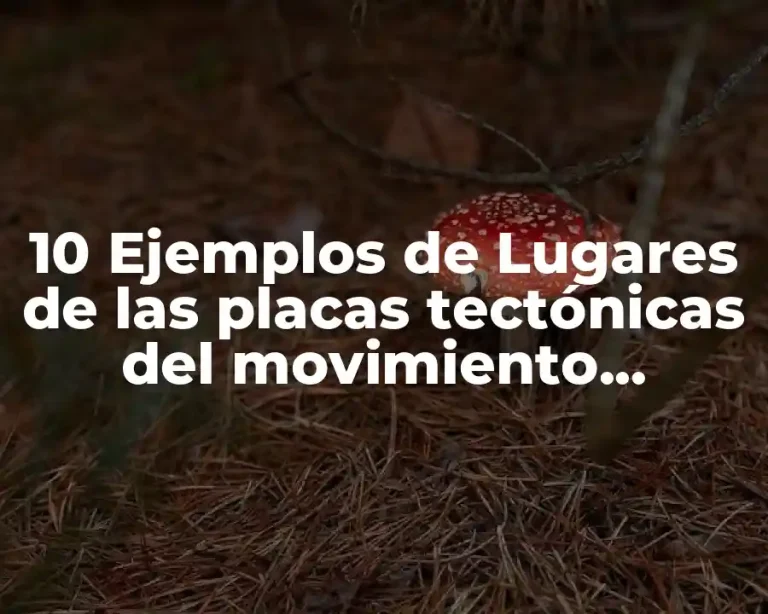 10 Ejemplos de Lugares de las placas tectónicas del movimiento transformante