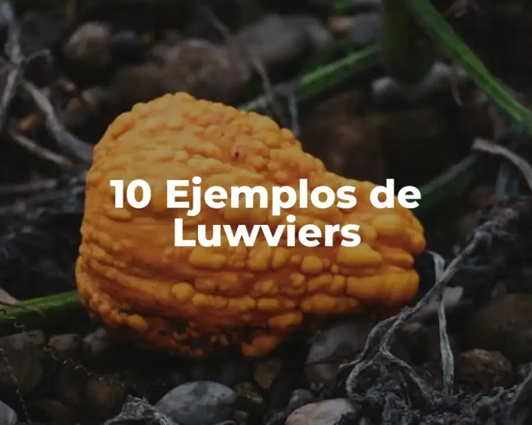 10 Ejemplos de Luwviers