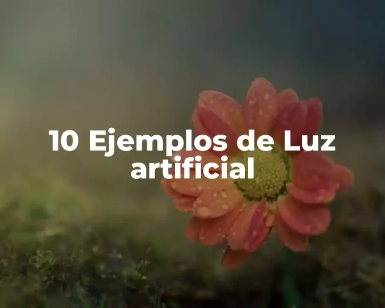 10 Ejemplos de Luz artificial