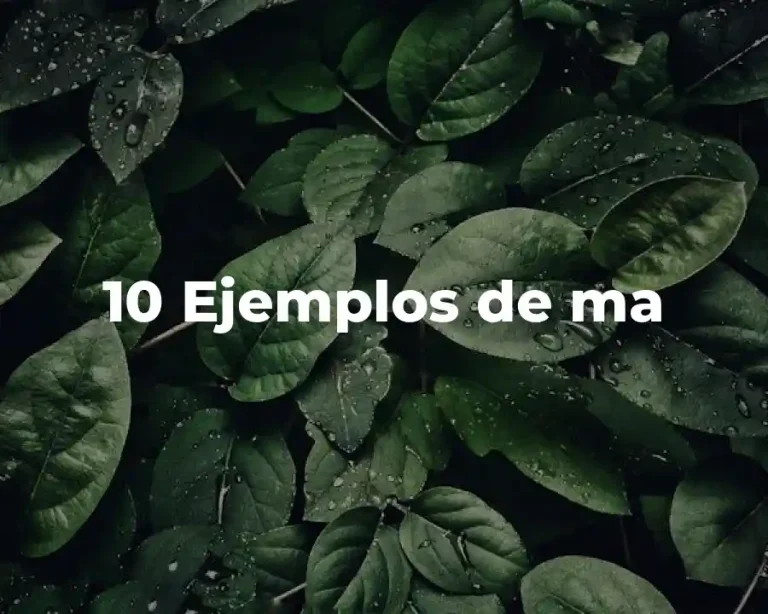10 Ejemplos de ma