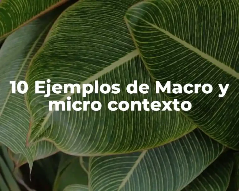 10 Ejemplos de Macro y micro contexto